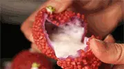 血管“清道夫”被找到了！家里一物连吃几天，血栓集体崩塌！