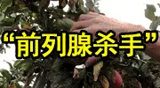 震惊：前列腺病痛终结！日常用一物，轻松排尿 超自在